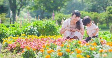 地元愛が強い都道府県ランキング2020【完全版】