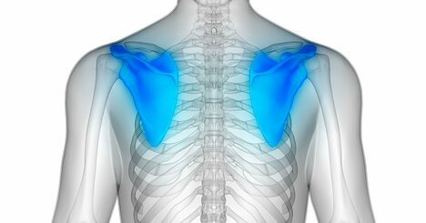 在宅が多くなって肩コリ、腰痛が悪化したという人は試してみて。ヤバいほど硬くなった肩甲骨を柔らかくするストレッチ
