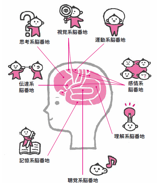 最新脳科学でついに決着!「左利きは天才」なのか?【書籍オンライン編集部セレクション】