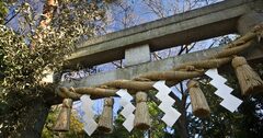 神社で鳥居や注連縄に触ってはいけない理由