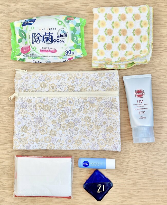 おくすり手帳と診察券50枚がスッキリ！セリアで見つけた「仕分けポーチ」が通院グッズ入れにピッタリだった！《購入レビュー》