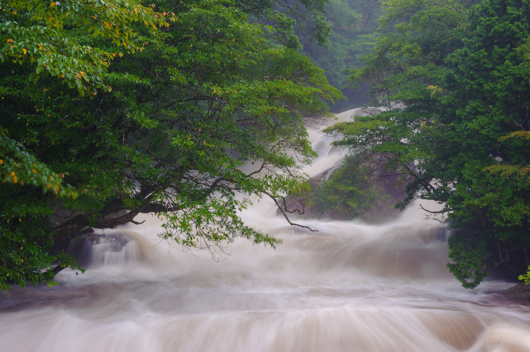 ななつ星も東証一部上場も、「氣の力」がすべてだった!