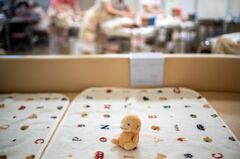 【社説】縮みゆく日本、なお輝き失わず
