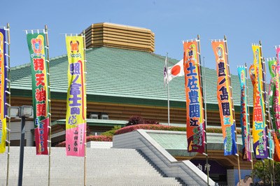 稀勢の里効果!?取り口が魅力の日本人若手力士が続々登場