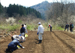 漢方薬原料に国内栽培ブーム到来 武田薬品工業やツムラも本腰