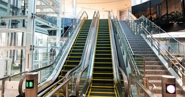なぜかのぞきたくなる…天王寺動物園の「片隅の穴」から見える、思わずニヤリとしてしまうモノ