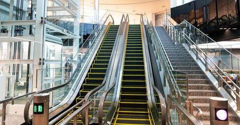 なぜかのぞきたくなる…天王寺動物園の「片隅の穴」から見える、思わずニヤリとしてしまうモノ