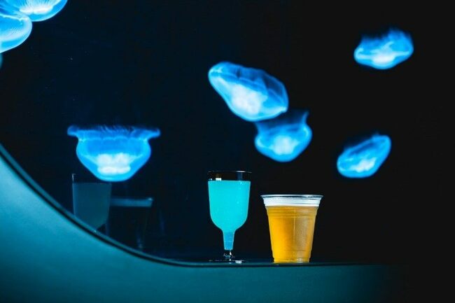 【札幌】街の中心部に飲食OKの水族館も！全天候型人気スポットで新しい冬の風情を発見