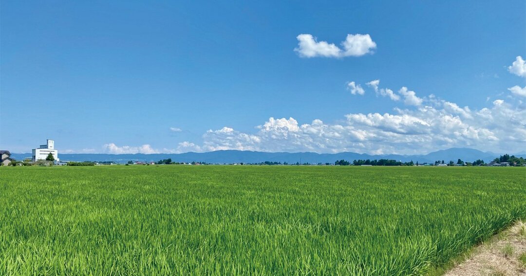 会津坂下町の契約栽培田