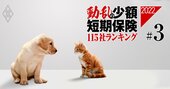 「ペット保険」ランキング【損保＆少短】アニコム＆アイペットの独壇場！競争激化で中小は瀬戸際