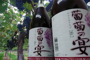 「葡萄の宴」がもらえる「山梨県韮崎市」