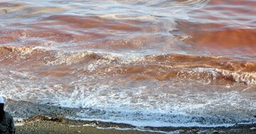 水が汚い海水浴場が多い都道府県ランキング2024、3位北海道、2位千葉、1位は?