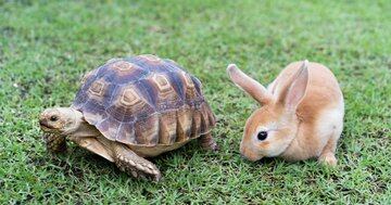 部長の年収はタイに負け、昇進は中国より10年遅い。これがどこの国の話かわかりますか？