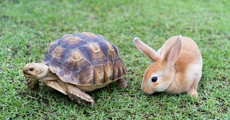 【衝撃！】部長の年収はタイに負け、昇進は中国より10年遅い、トホホなアジアの先進国とは？