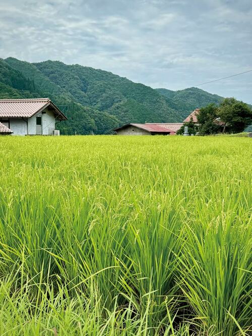 新日本酒紀行「邑川」