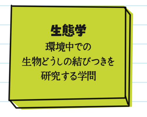 生態学
環境中での生物どうしの結びつきを研究する学問