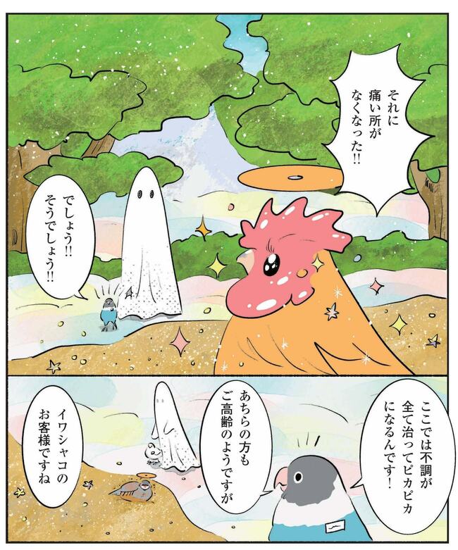 天国の自慢のスパを堪能するコッコたち