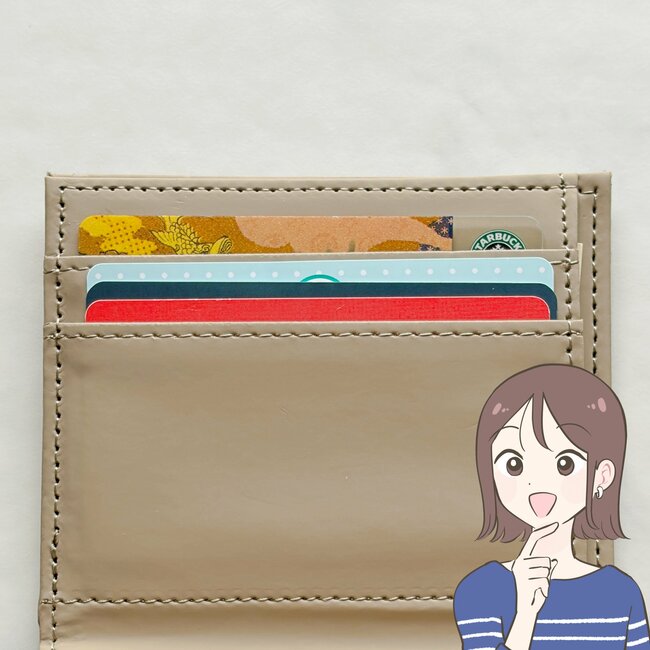 普通の財布に戻れないかも…！ダイソー姉妹店の「コンパクトな財布」カードや現金、カギをまとめて収納できて天才！