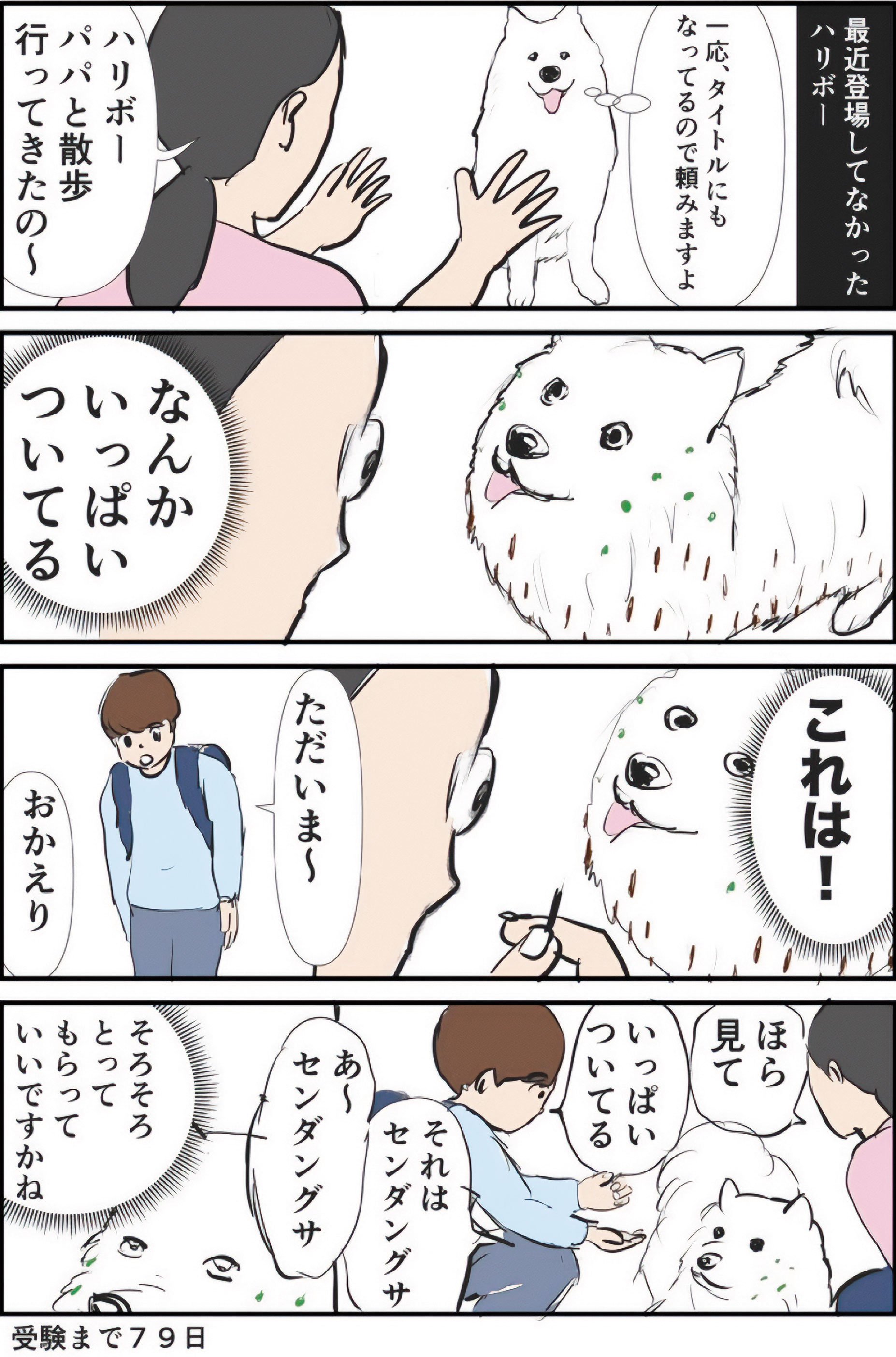 『ギャグ漫画家の母が初めて中受伴走をしてみたら』りえ太郎