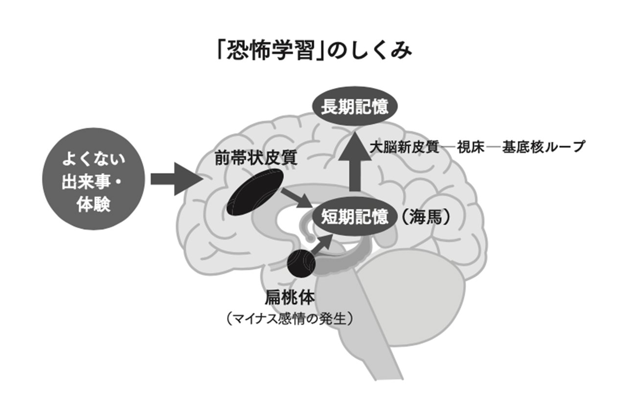 【脳科学の新常識】なぜあなたは「マイナス思考」になってしまうのか?