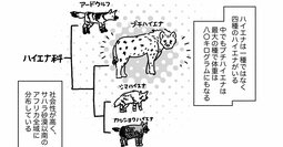 【マンガ】硬い甲羅のカメを噛み砕き、シマウマを30分で食べ尽くす…“ボーン・クラッシャー”「ハイエナ」に襲われた動物の悲劇的な最期とは