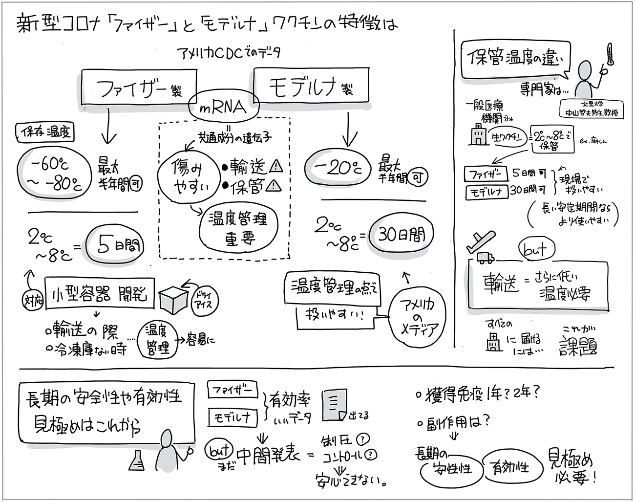 新型コロナ「ファイザー」と「モデルナ」ワクチンの特徴を“1枚の図”にまとめた！