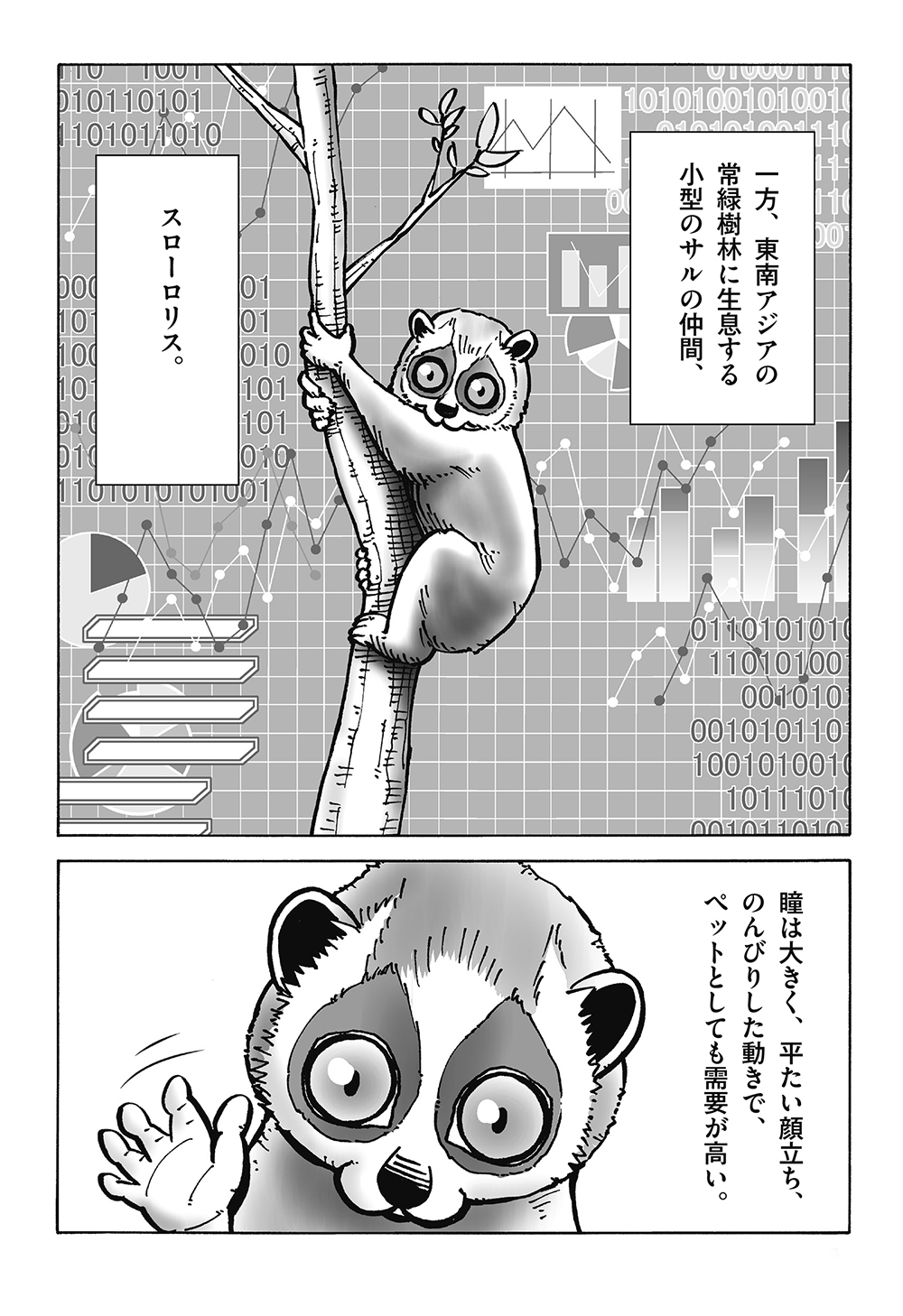 「ワニ、食べちゃいます」アマゾン川のカワウソが怖すぎる！