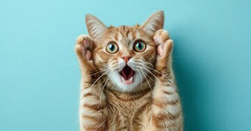 アホは「他人にどう見えるか」が行動の中心になる。じゃあ、頭のいい人は?