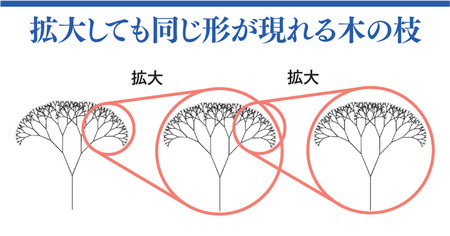 拡大しても同じ形が現れる木の枝