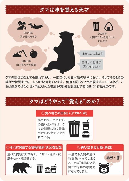 図:クマは味を覚える天才