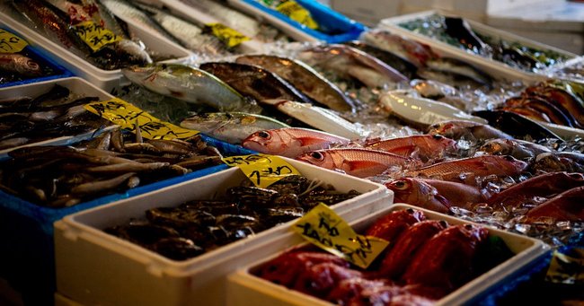 コロナで真鯛が1キロ10円に暴落しても、スーパーでの値段が変わらない理由