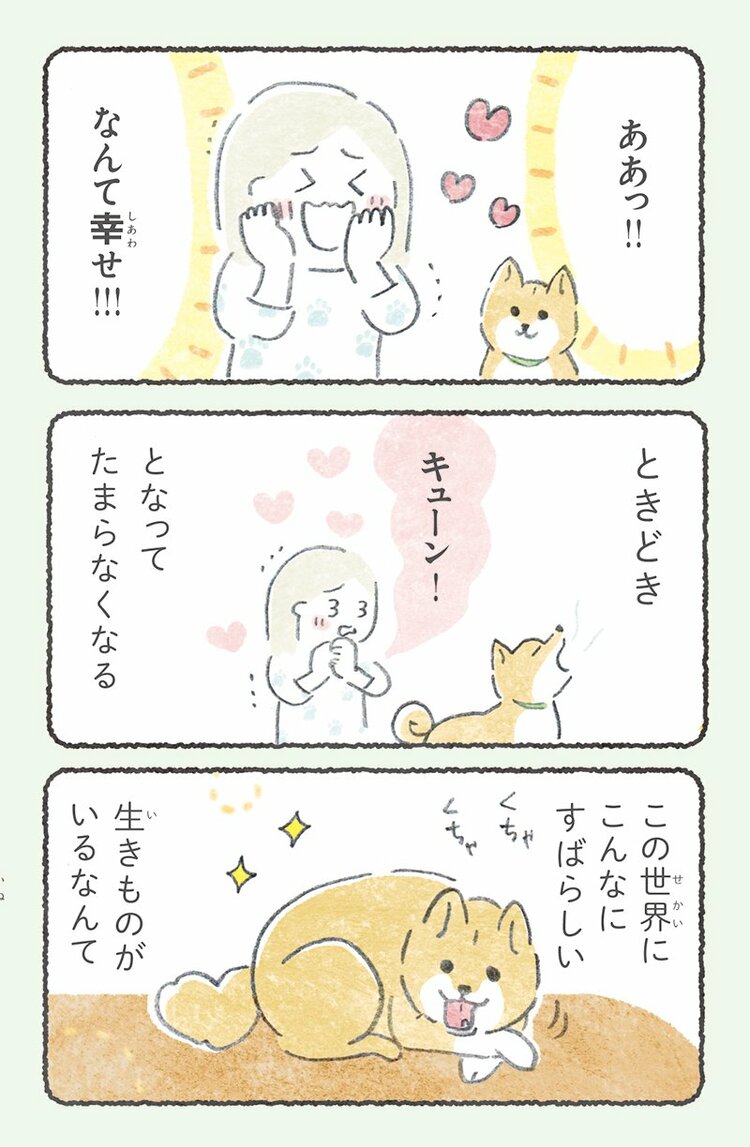 犬が家にいるって幸せ！