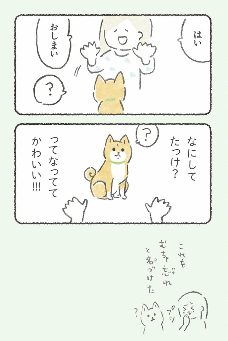 むちゃ忘れ