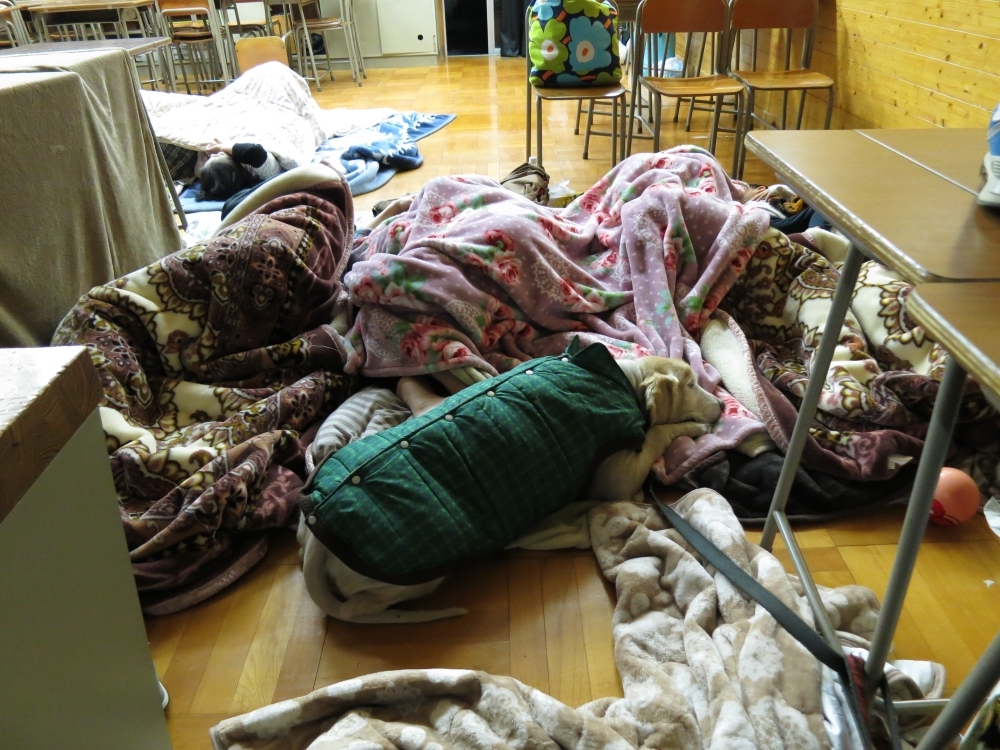 熊本地震から5ヵ月、低所得層ほど生活再建できない現実