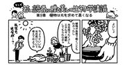 マンガでわかる「植物」は画期的な仕組みで、もっとも背が高い生物になった