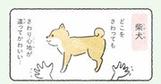 【マンガ】犬のさわり心地最高スポットを教えます【いやされる】