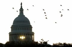 米中間選挙、下院は共和党に勢い　上院は接戦続く