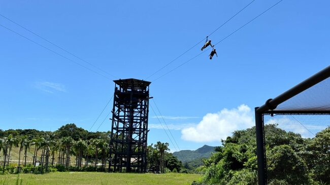 マイルでお得！JALの「旅先ガチャ」が神すぎた...ジャングリア沖縄で気づいた〈ディズニーとは違う魅力〉
