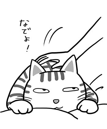 私が「猫はただのペットではない」と断言したい訳