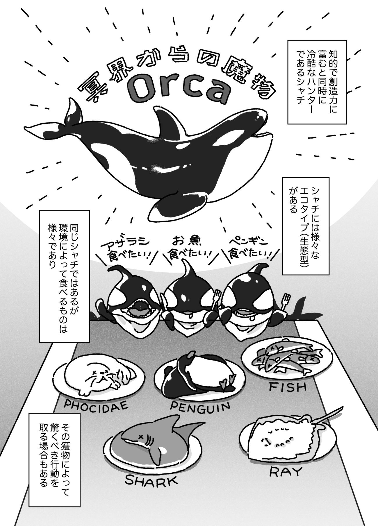 【マンガ】エイをピザのように分け合い、アザラシを氷から叩き落とし、世界最大の「ホホジロザメ」を催眠状態にして葬る…「シャチ」に襲われた動物の無惨な最期とは
