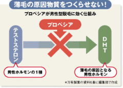 「薄毛・脱毛」治療は内服薬と外用薬の併用が効果的！