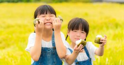 「コメ関税撤廃はアメリカの言いなり」論の大きな誤解