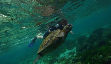 ガラパゴス諸島の保護区拡大、中国漁船団を警戒
