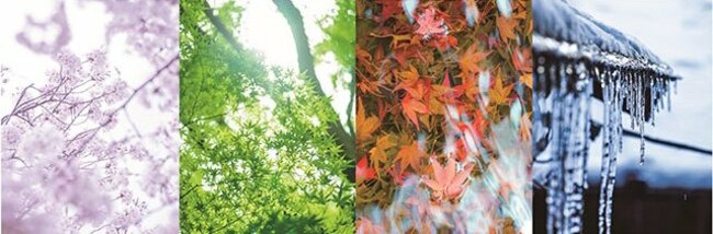 美しい日本の四季