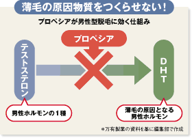 薄毛の原因物質を作らせない!
