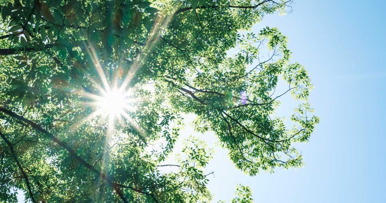 人生がつまらないと感じたときに思い出したい、2つの言葉