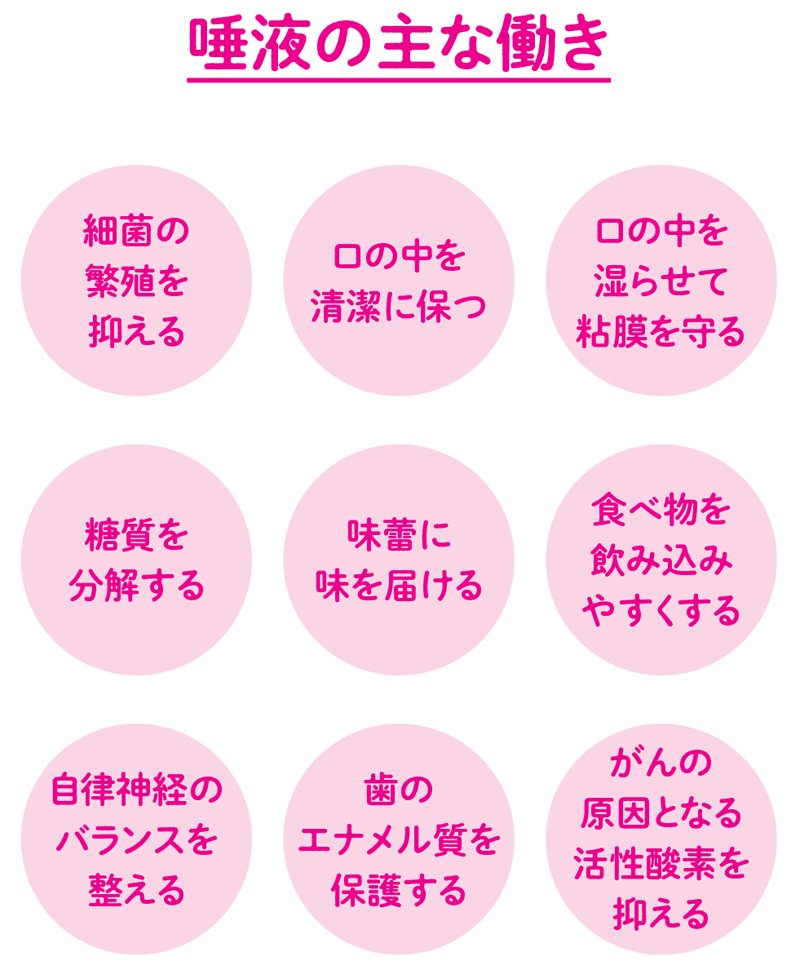 やせたいなら「歯磨き」が大事な理由、不十分だと太りやすい体質になることも