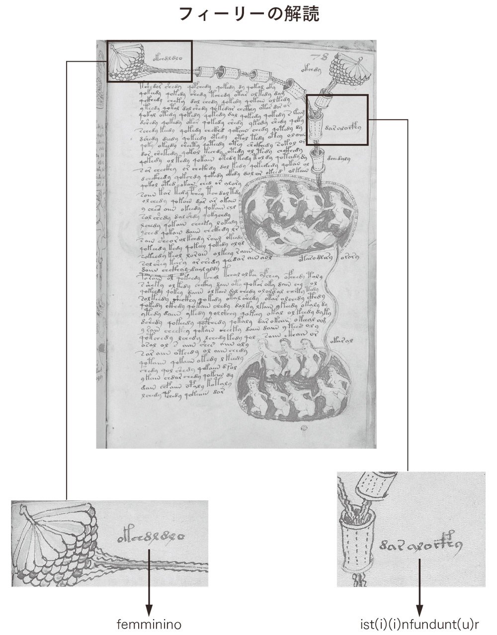 世にも奇妙な謎文書『ヴォイニッチ手稿』解読に挑んだ暗号学者が「死後」に遺したメッセージ