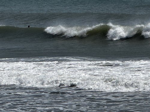 こんなにいい波なのに、指をくわえて見ているしかありません。やっぱりケガしちゃダメですね