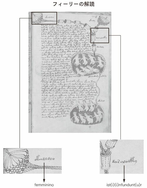 世にも奇妙な謎文書『ヴォイニッチ手稿』解読に挑んだ暗号学者が「死後」に遺したメッセージ